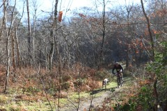 IMG_1977