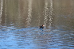 IMG_2040