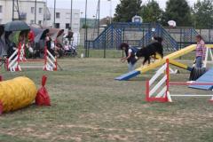 agility_compiegne_1_8