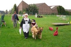 attelage_concours_10_11_sept