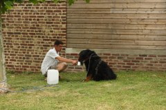 attelage_demo-10-07-2010