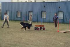 attelage_entrainement