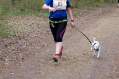 canicross_concours_15_4_2012