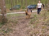 CROSS CANIN 15 Avril 2012