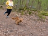 CROSS CANIN 15 Avril 2012