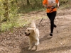 CROSS CANIN 15 Avril 2012