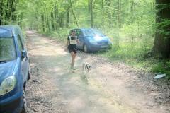 canicross_concours_17_4_2011