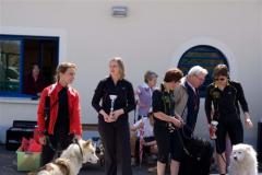 canicross_concours_18-04-2010