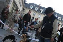 evenement_club_fete_des_associations