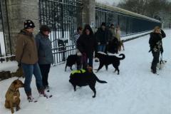 Marche avec ton chien