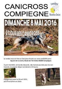 affiche cani cross